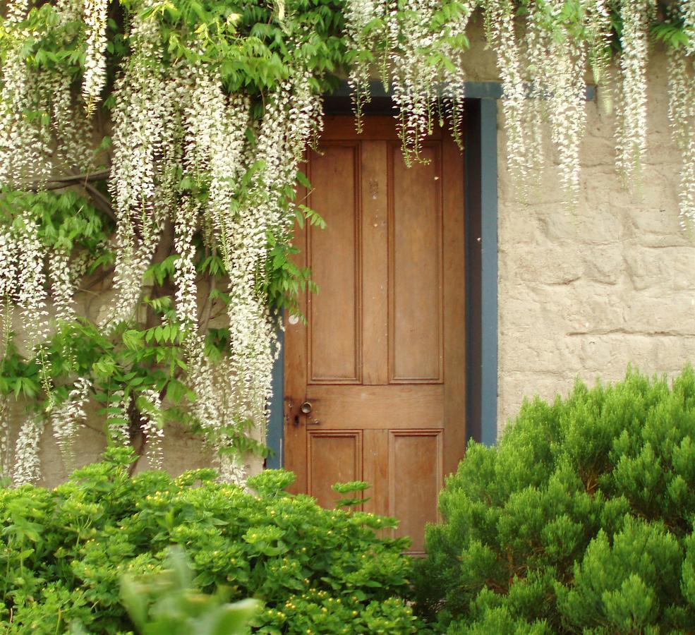 Muddy Creek Cutting Bed & Breakfast Lauder Екстериор снимка